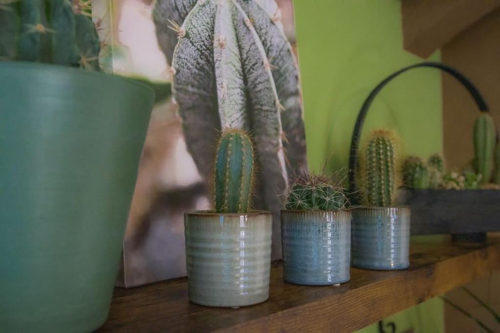 Coin De Nature En Centre-Ville トロワ エクステリア 写真