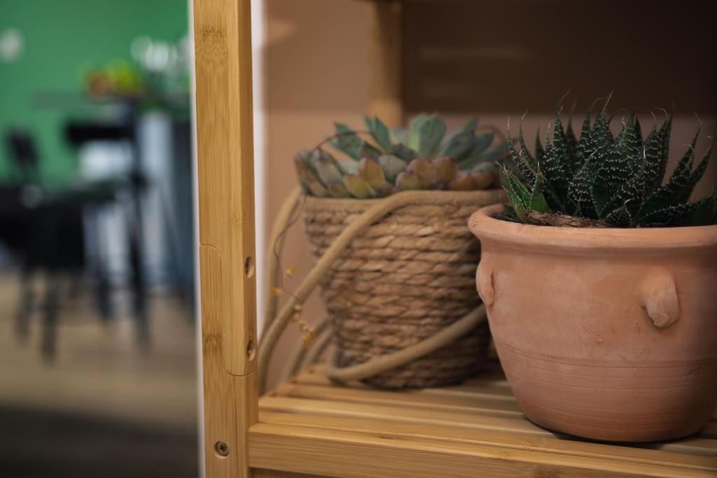 Coin De Nature En Centre-Ville トロワ エクステリア 写真